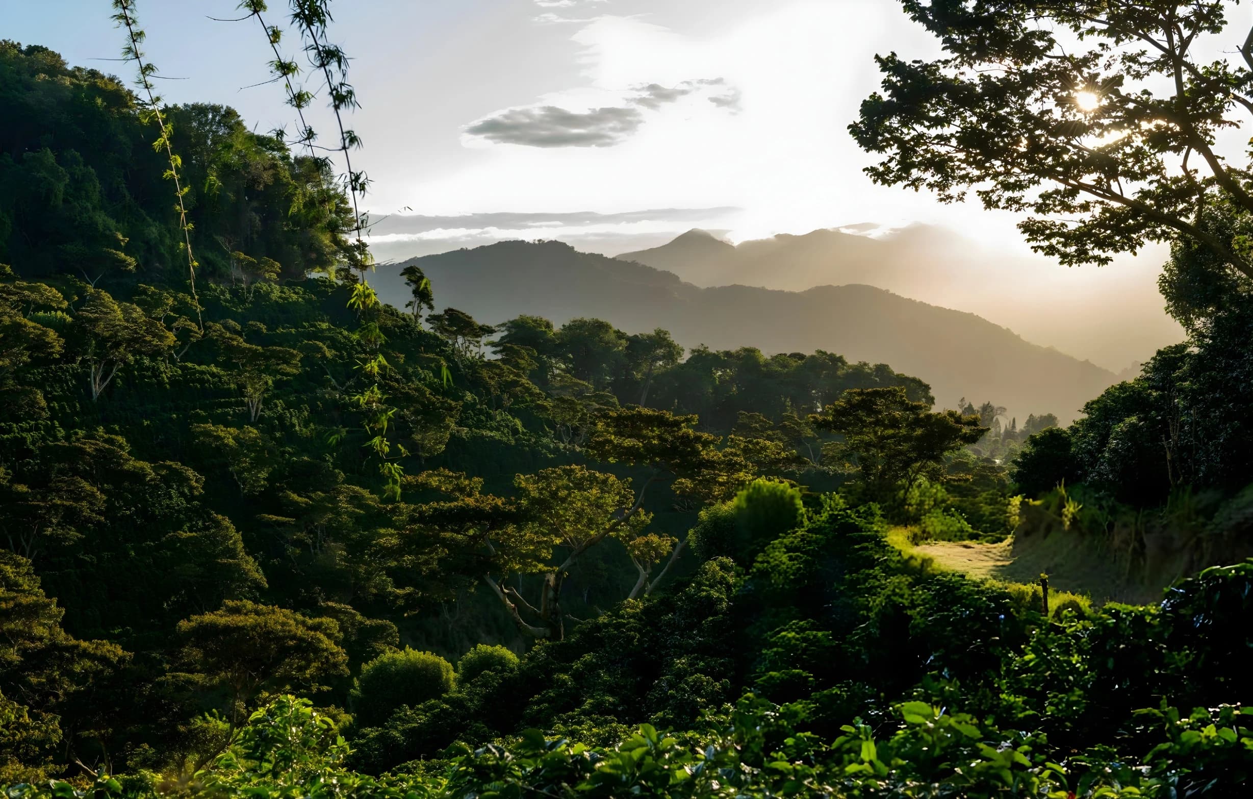 Carreteras de Chiriqui y rutas panorámicas